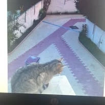 473805098_954634416733161_8268672452233912269_n